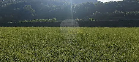 image-LX7fqn0JQx0-0