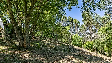 Land for sale in Mafra, Portugal — €230,000