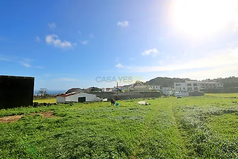 image-HsVImO3s4vi-0