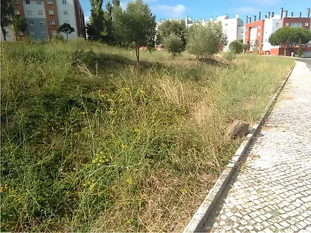 Land for sale in Benavente, Portugal — €850,000