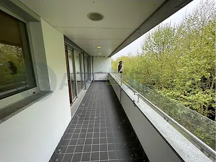image-9jQng0XhxvA-0