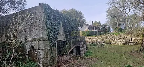 image-1aPddf6OaxY-0