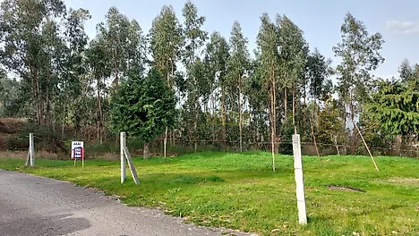 image-28FFMJAJxs9-0