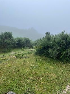 image-9hSdcDXLj50-0