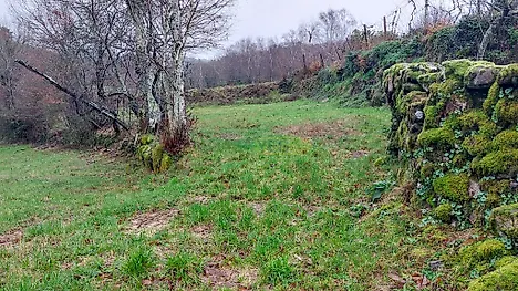 image-Co0EbqESc2i-0
