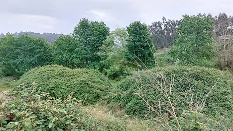 image-GEuwjqWbC9R-0