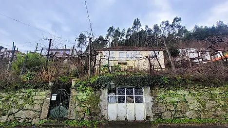 image-R2ZLVy3762-0