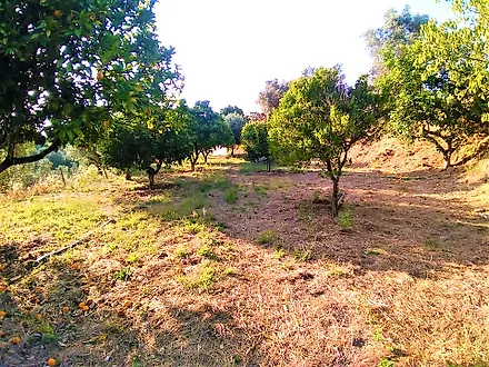 image-KdUHYGRgTlK-0