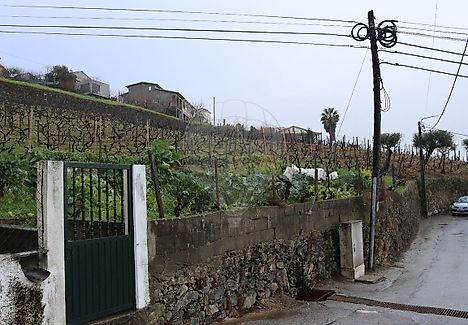 image-88AOzfrIKPW-0