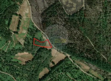image-FGf2of2wEQ3-0
