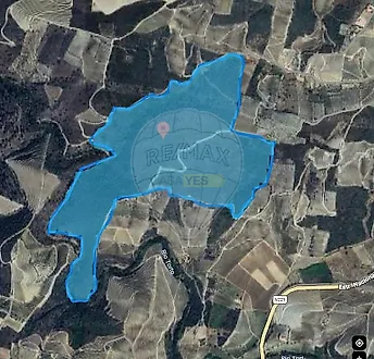 image-FRIR3hG8hzK-0