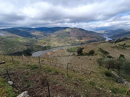 image-JOrg5IXOJxP-0