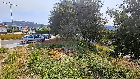 image-CzNVlWcqrOA-0