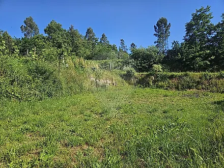 image-9FtnuO7MgeO-0