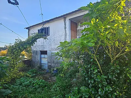image-G6i2oCJK5nX-0