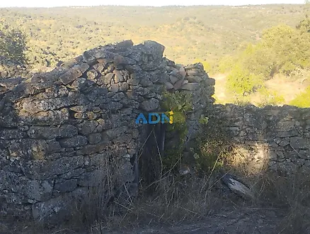 image-1piXG78I3D7-0