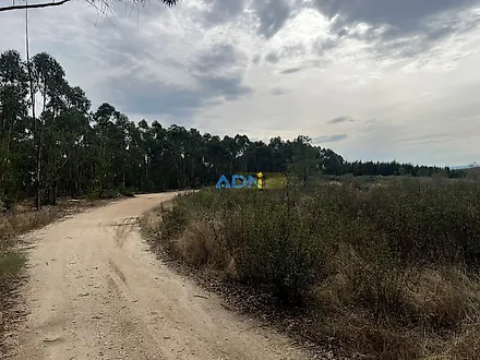 image-3AI6RLN0zeQ-0