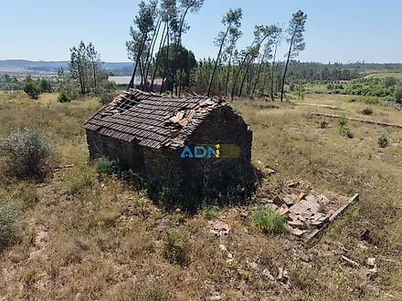 image-C8dvh1OEjBf-0