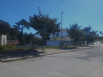 image-6JeAT6l08fy-0