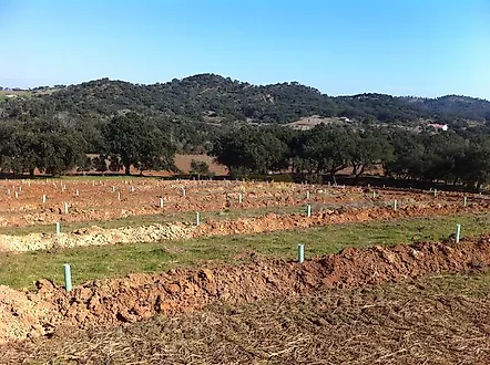 image-4SGFB4X5krv-0