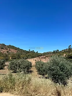 image-5hTtrEGONQg-0