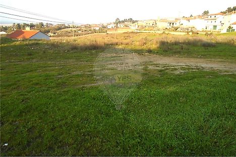image-657Wzowy06g-0