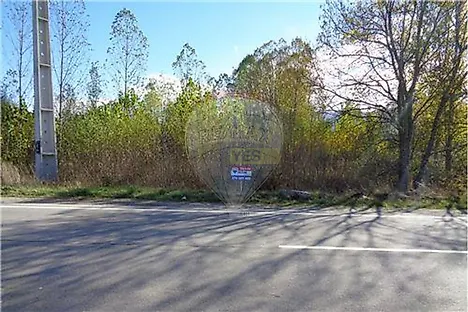 image-7cpTy1b3Sxn-0