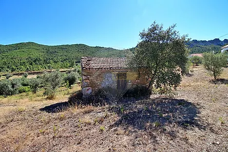 image-AzZAMeDaUTX-0