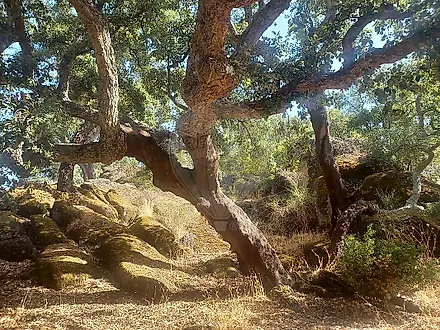 image-BKjvUNXn9RV-0