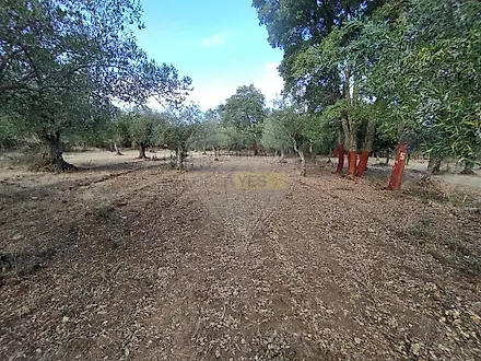 image-F3a5gtewWMj-0