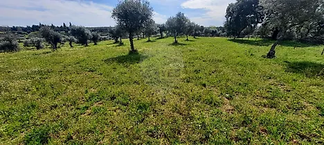 image-GZHODzTSupT-0