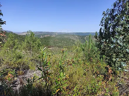image-KgwDrTembVA-0