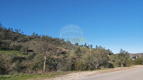 image-CNPq0a17Qko-0