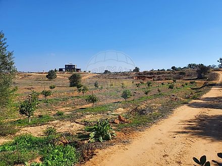 image-DzirYdIacET-0