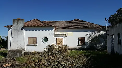 image-BnzYI9K9tXG-0
