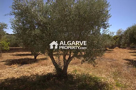 Land for sale in São Brás de Alportel, Portugal — €268,000