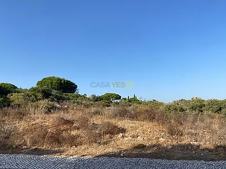 image-J8YXPoXOlHD-0