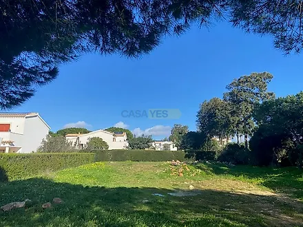 listing-KXD5WhWtPpv