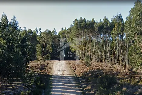 image-9kmdKELLDnh-0