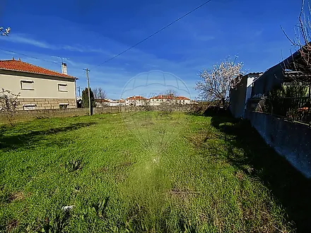image-6lWfKIyo5LH-0