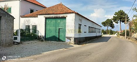 image-EbziIKkgkBT-0