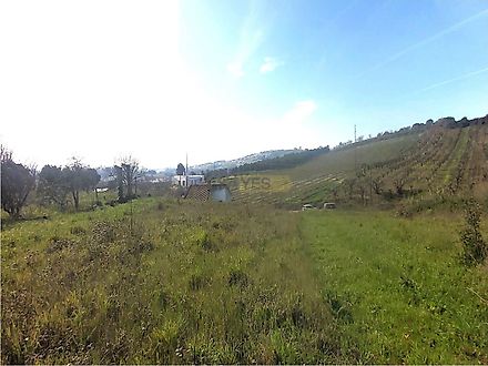 Land for sale in Bombarral, Portugal — €175,000