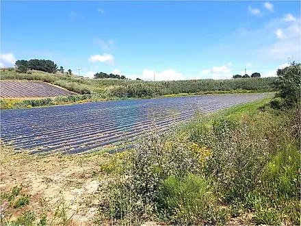 Land for sale in Torres Vedras, Portugal — €375,000