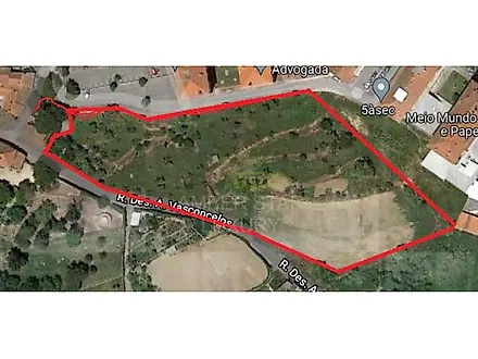 listing-5DN8MjpxjCP