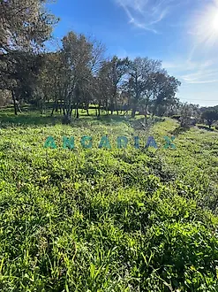 image-EKqodd680L5-0