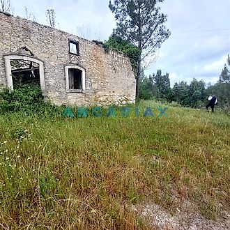image-IOexErXyRYs-0
