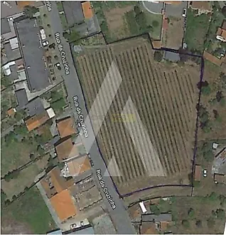 Land for sale in Albergaria-a-Velha, Portugal — €348,000