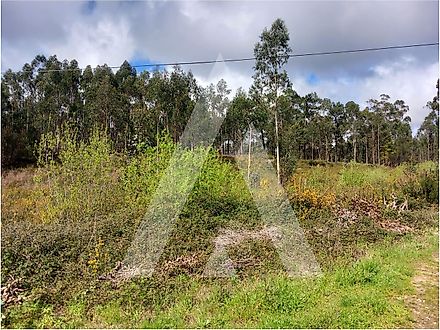 Land for sale in Oliveira de Azeméis, Portugal — €229,200
