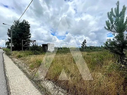 Land for sale in Albergaria-a-Velha, Portugal — €265,000
