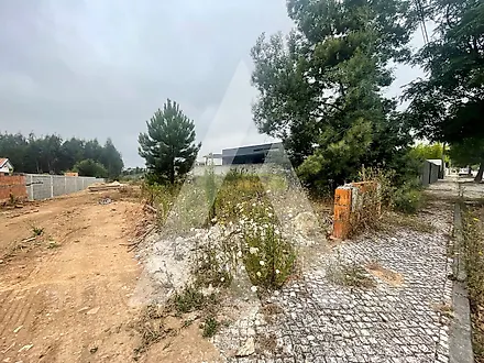 Land for sale in Albergaria-a-Velha, Portugal — €55,000